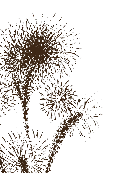 decorative icon