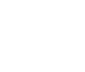 Mestiza restaurant logo
